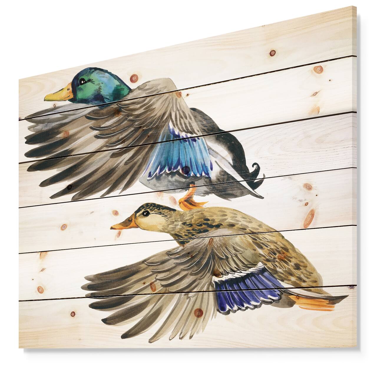 Designart - Colored Duck isolated on white background - Sketch of Farmhouse Animals of Painting Print on Natural Pine Wood